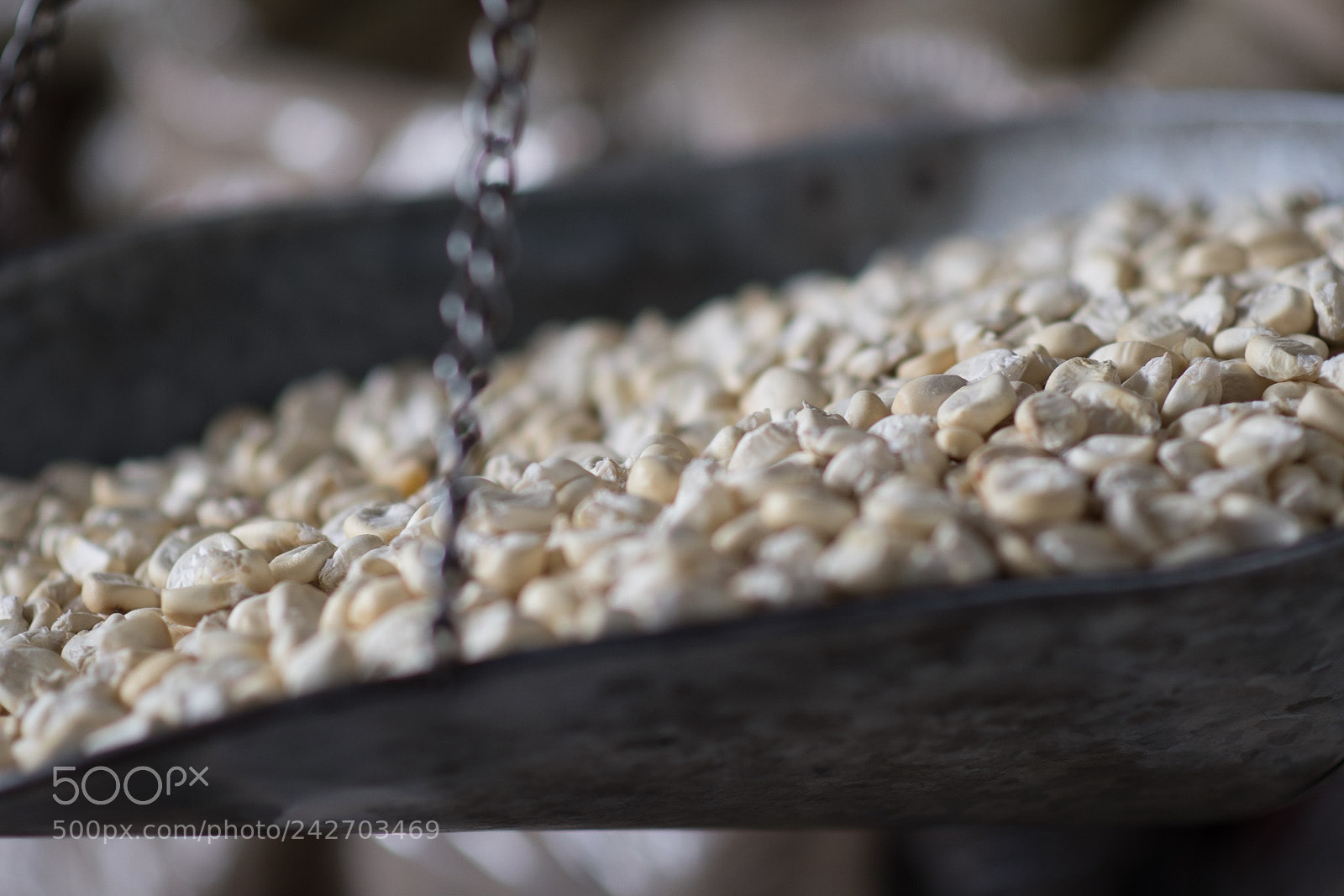 Nikon D500 sample photo. Choclo by the gram photography