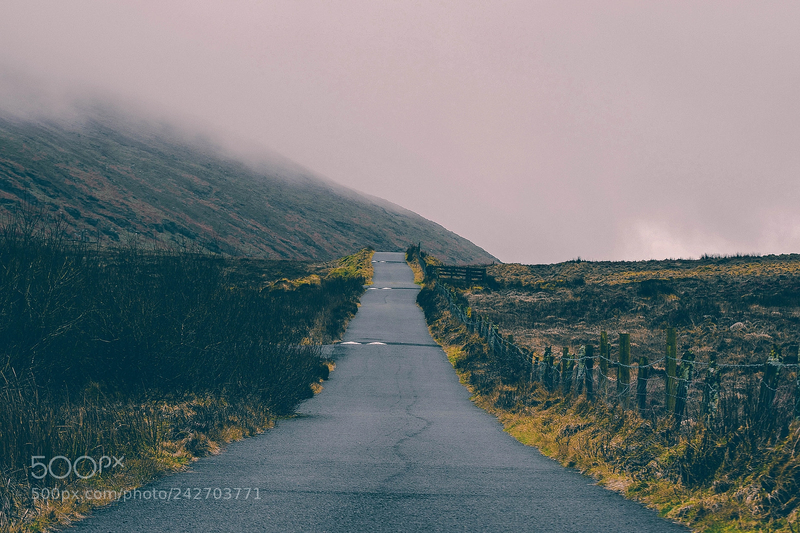Nikon D7200 sample photo. Road photography