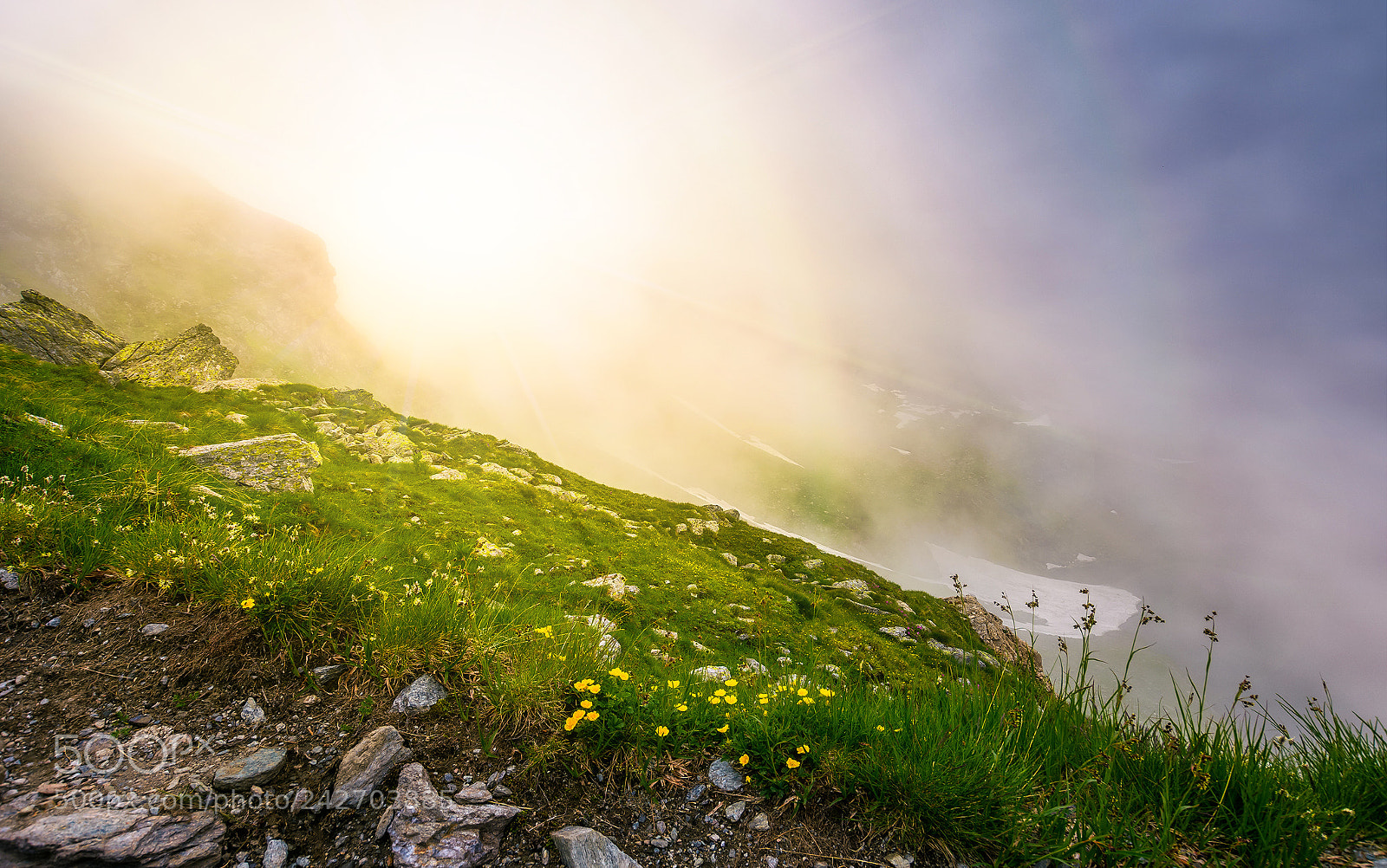 Nikon D7100 sample photo. Glowing fog over the photography