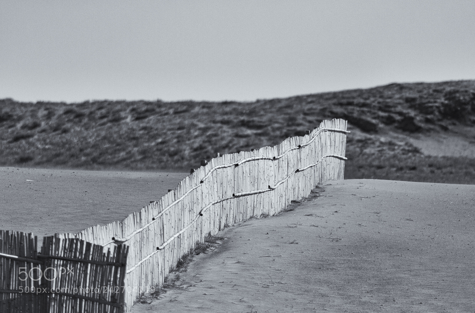 Canon EOS 40D sample photo. Dune #5 photography