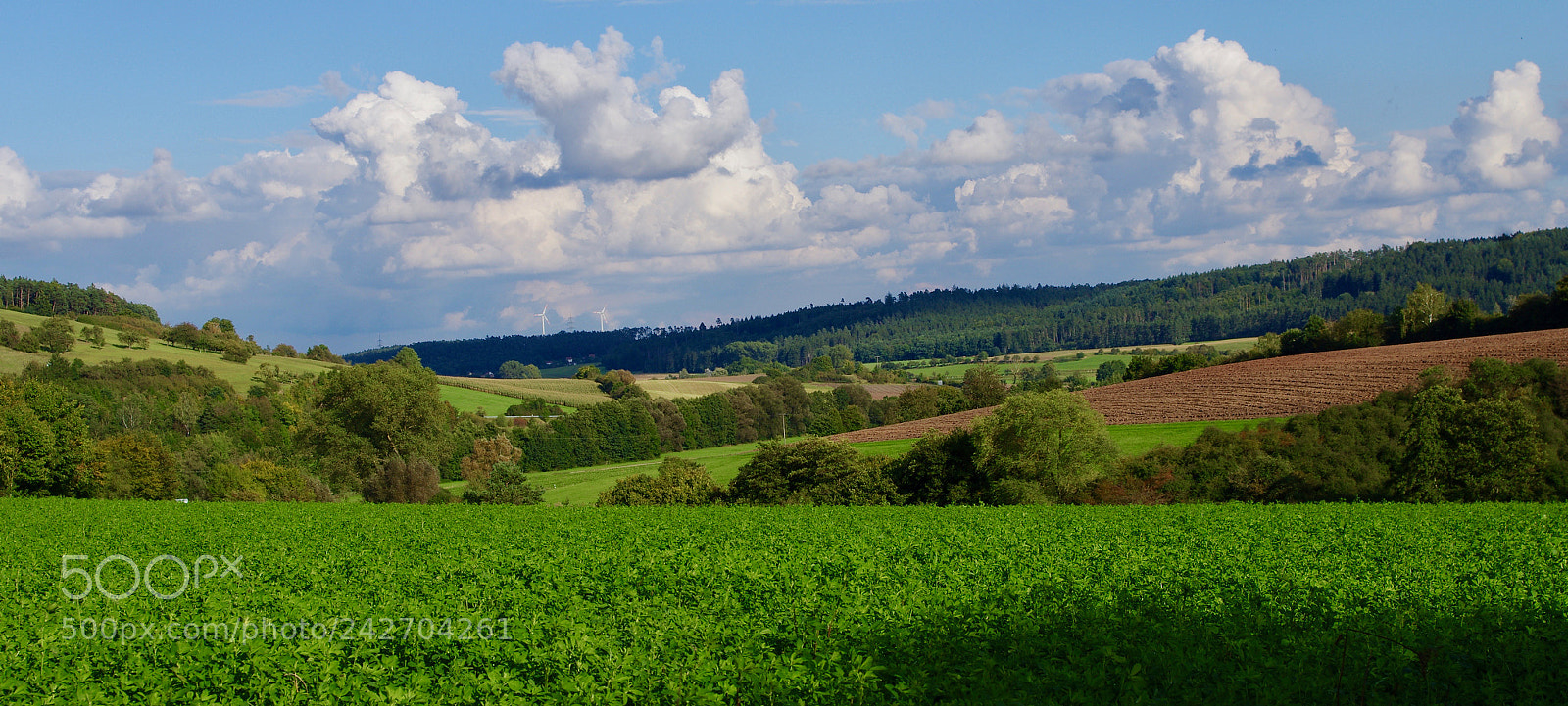 Pentax K-5 II sample photo. Germany photography