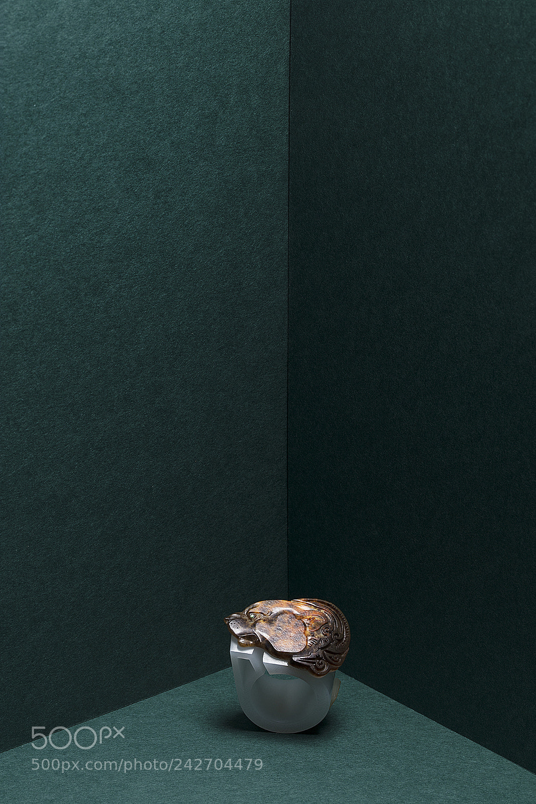 Canon EOS 5DS sample photo. Leopard ring photography