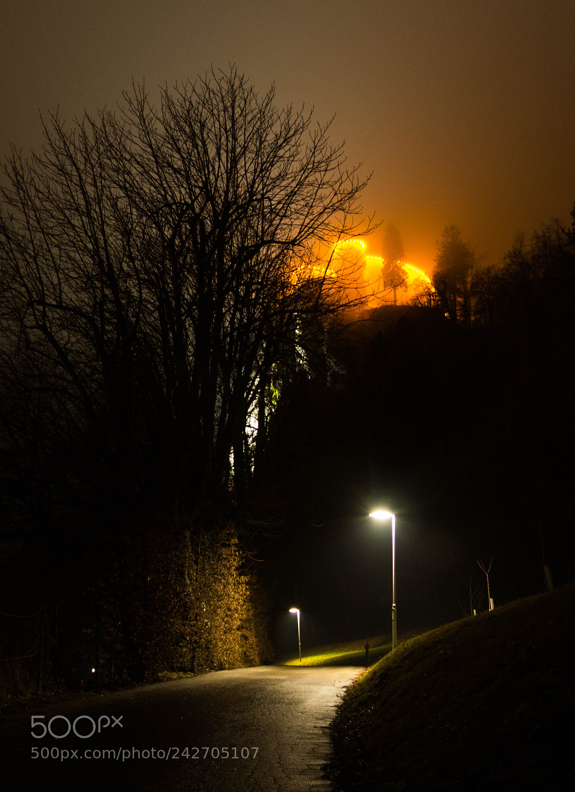 Canon EOS 60D sample photo. Untitled photography