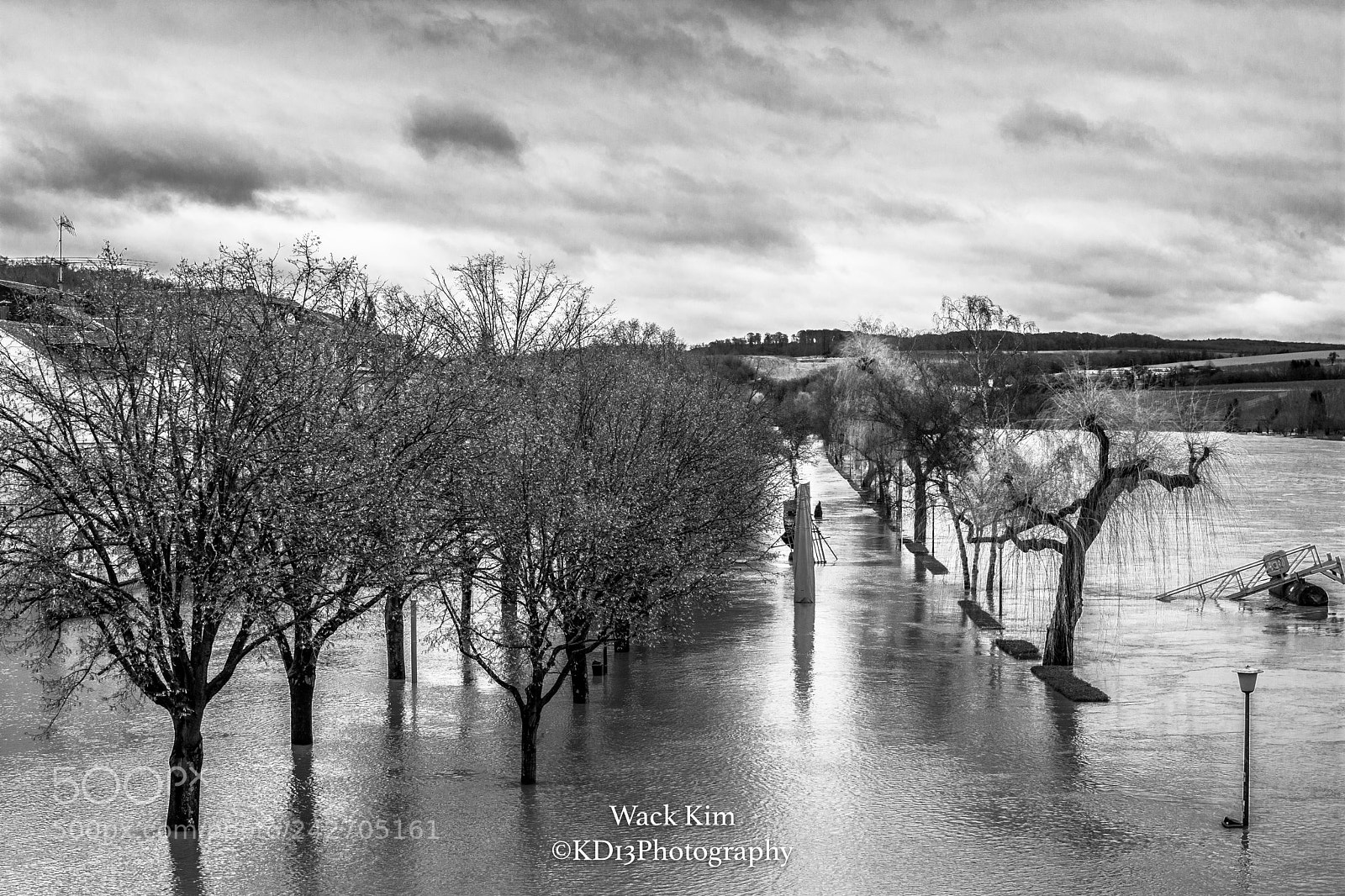 Nikon D7100 sample photo. Flood and trees photography