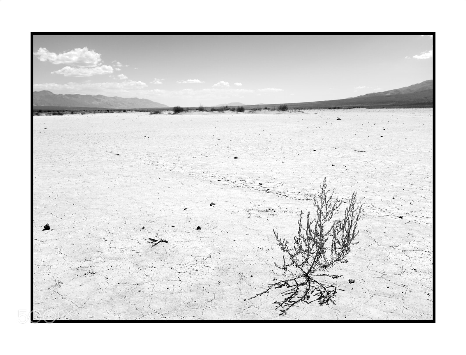 Fujifilm X100F sample photo. El desierto (california) photography