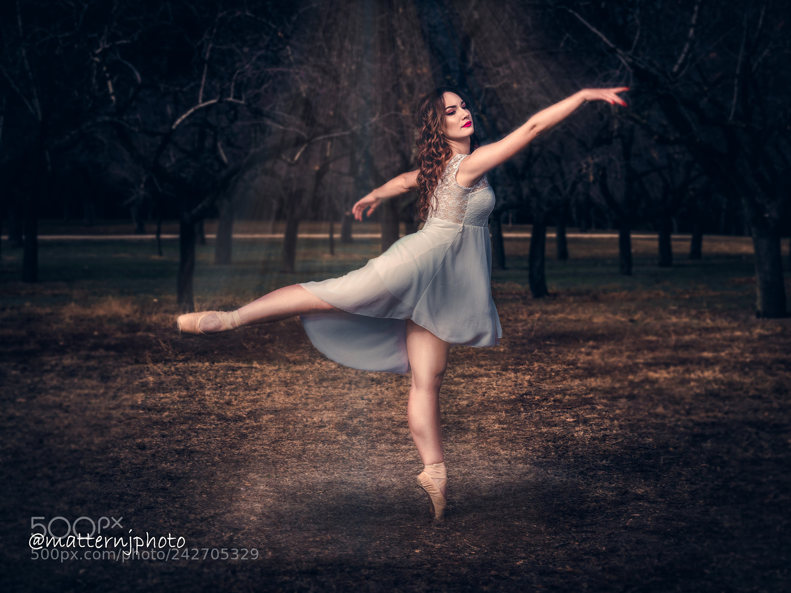 Fujifilm GFX 50S sample photo. Untitled photography