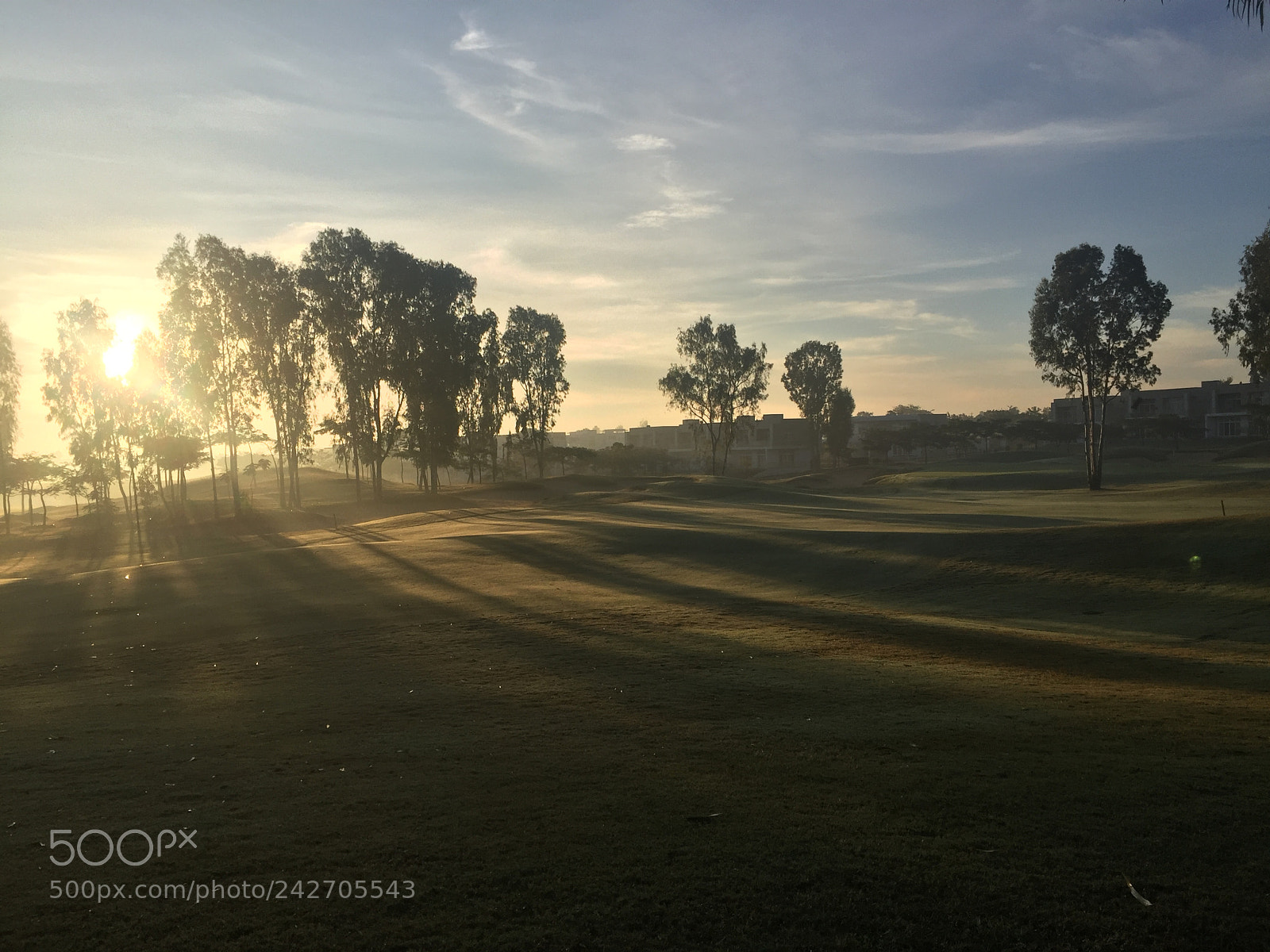 Apple iPhone 6 sample photo. Long shadows of the photography
