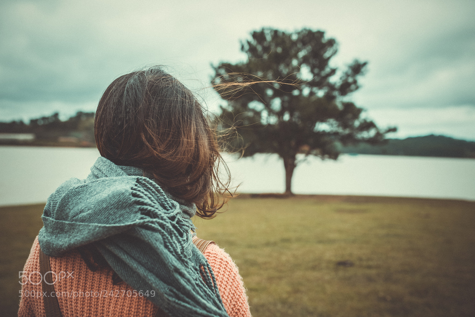Nikon D600 sample photo. Lonely tree photography