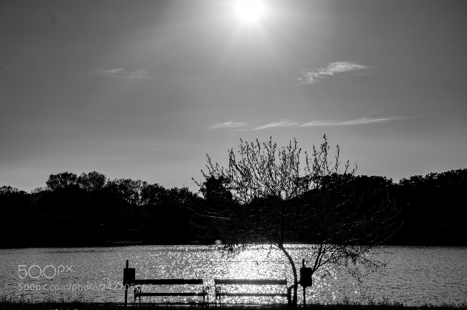 Nikon D3200 sample photo. Silence photography
