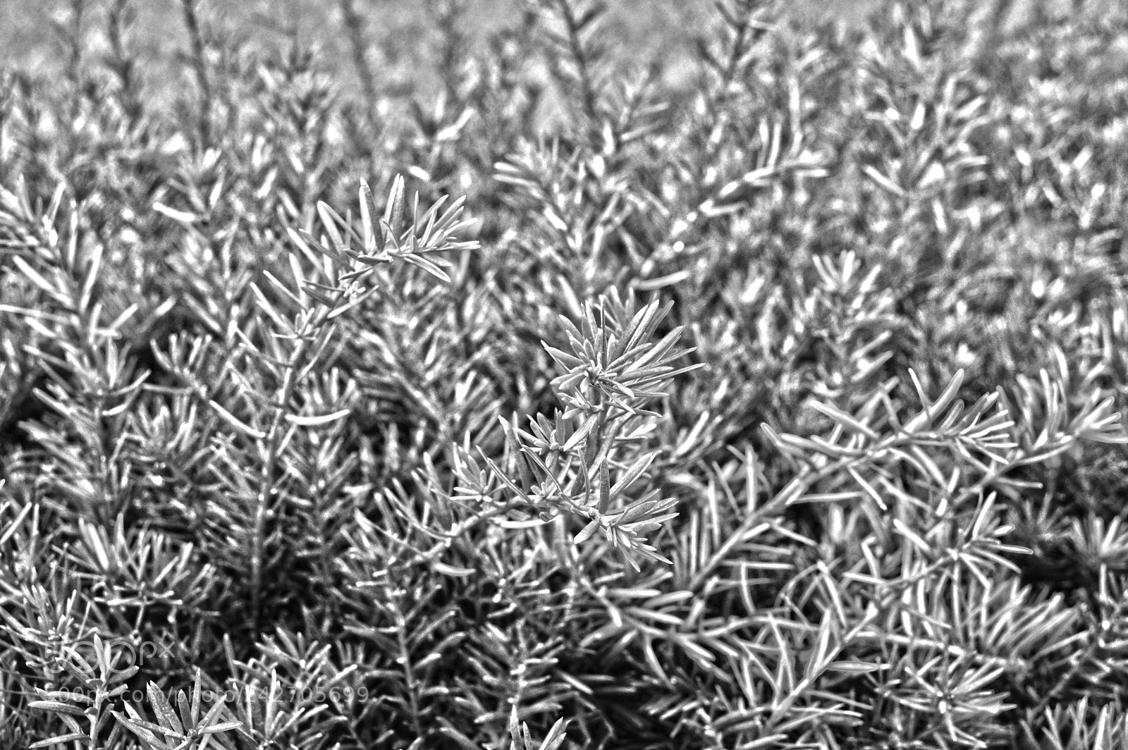 Nikon D3200 sample photo. Dsc photography