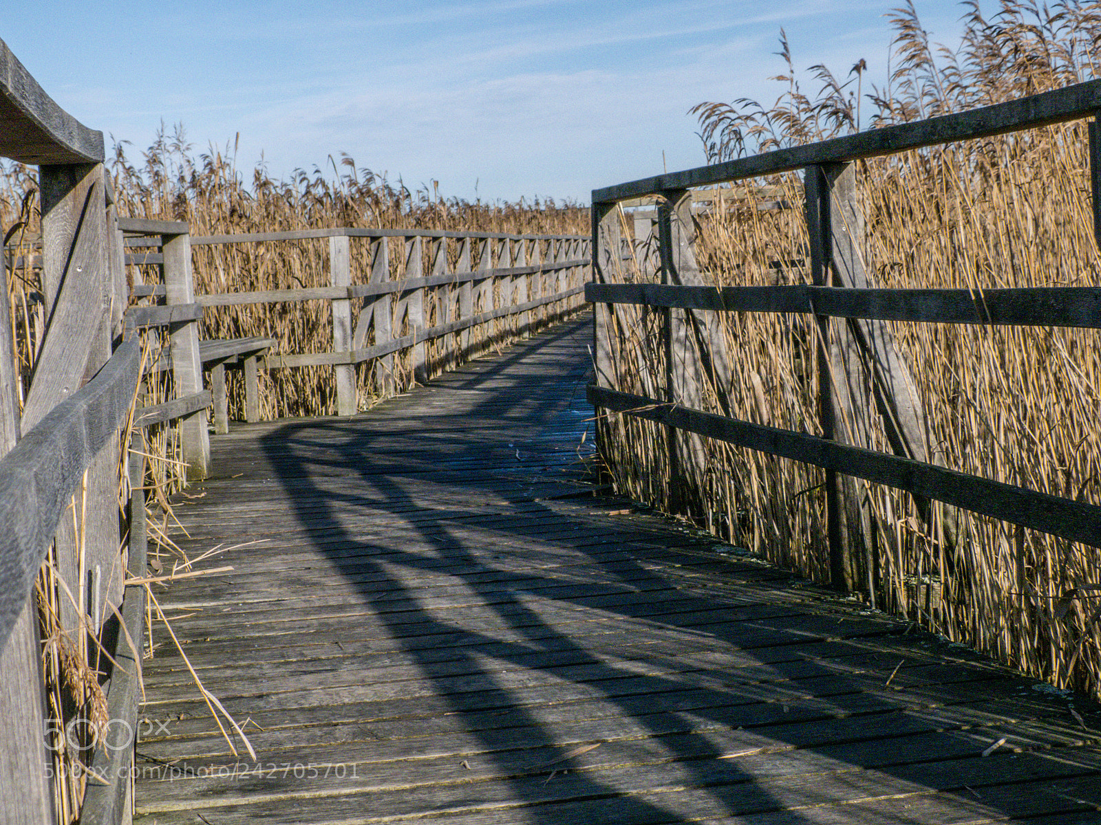 Panasonic Lumix DMC-FZ100 sample photo. Footbridge photography