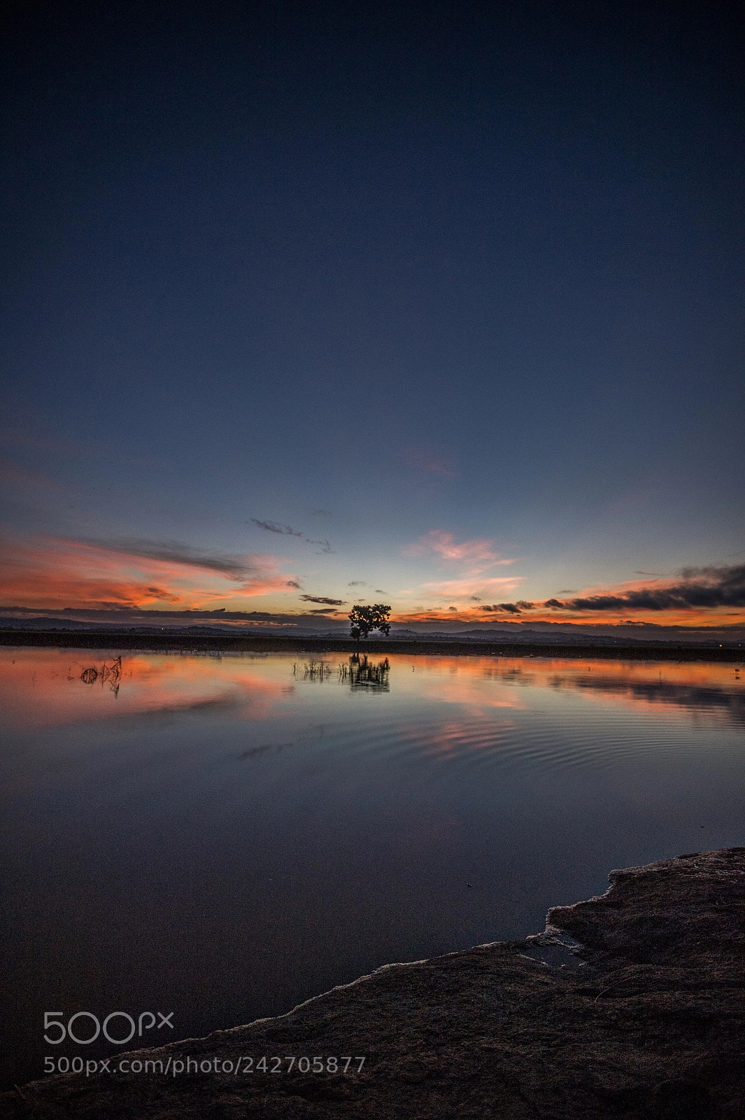 Nikon D4 sample photo. A morning in madagascar photography