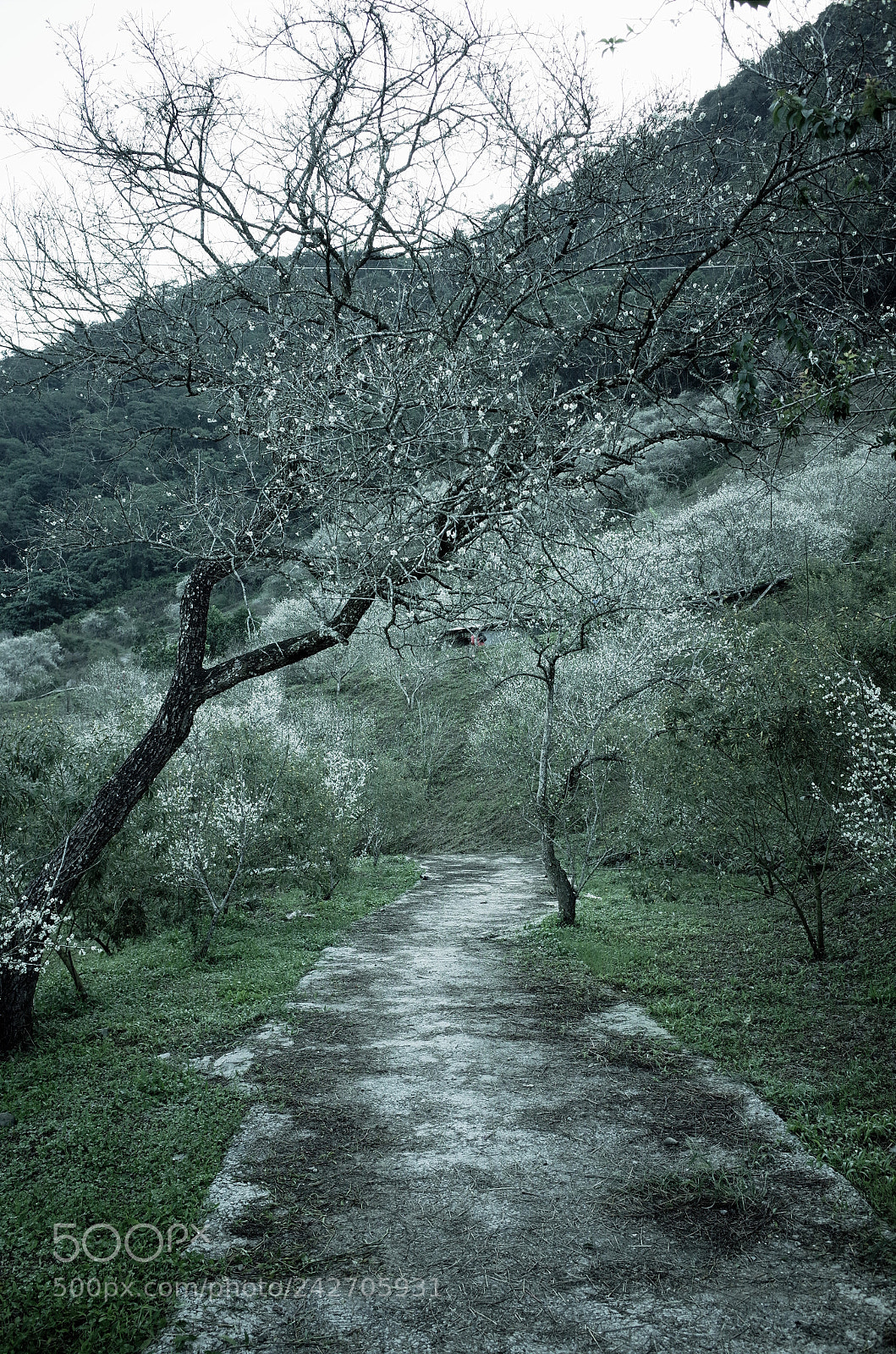 Ricoh GR sample photo. Untitled photography