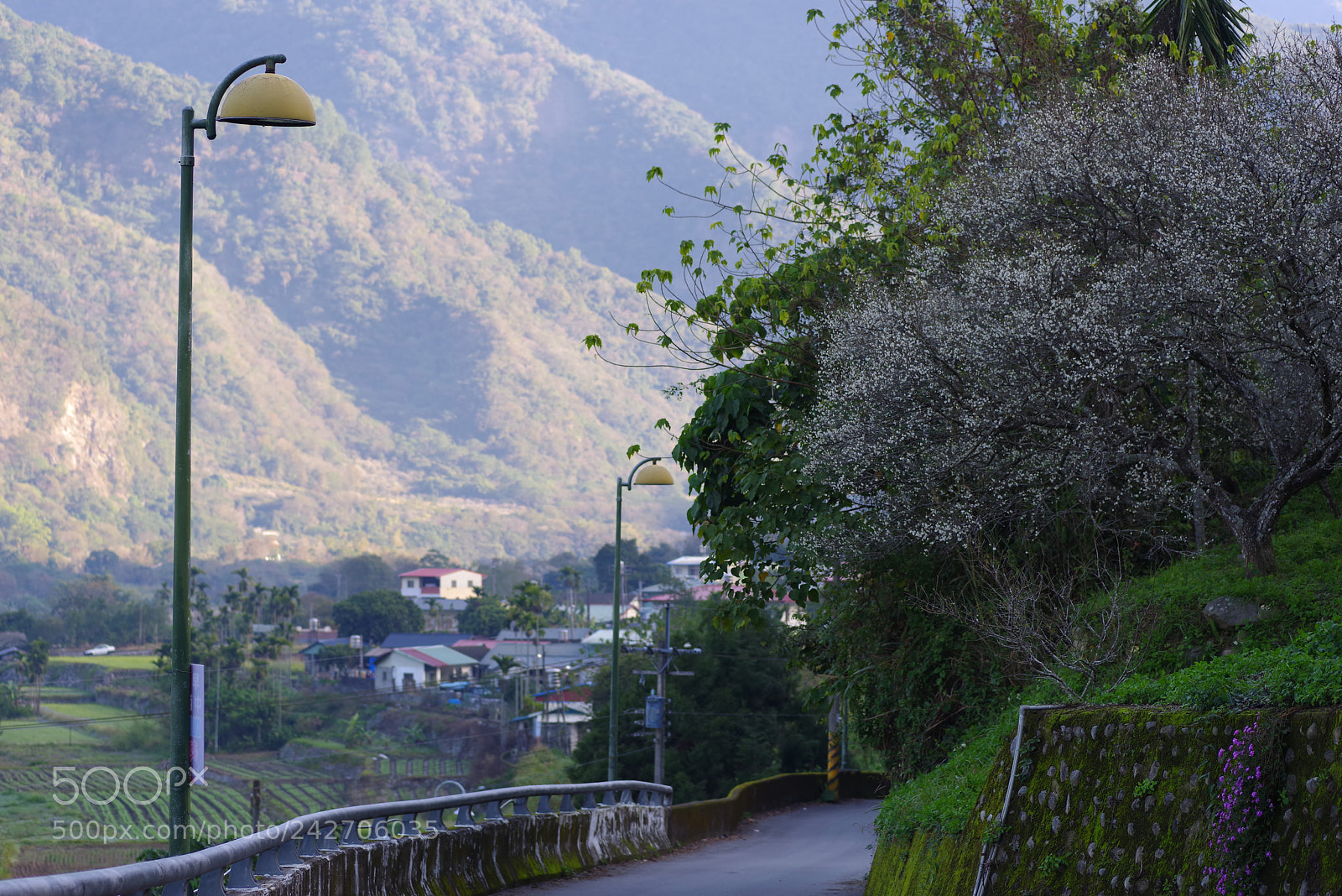 Pentax K-1 sample photo. The view from my photography