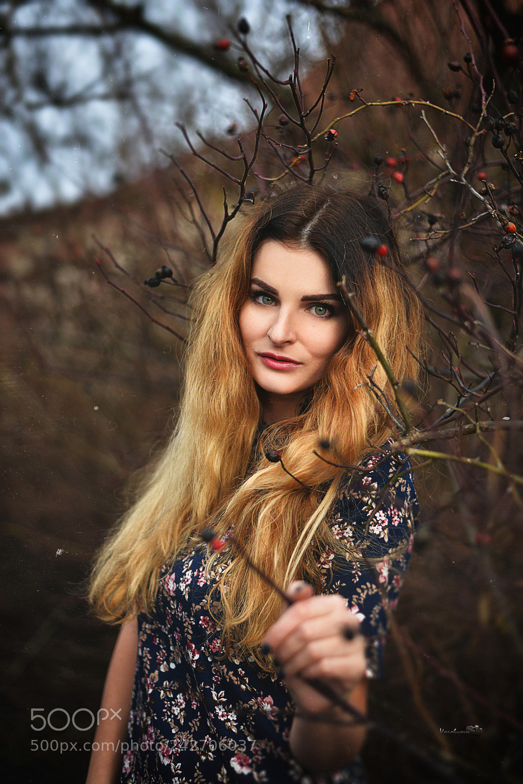 Nikon D610 sample photo. Perfection photography