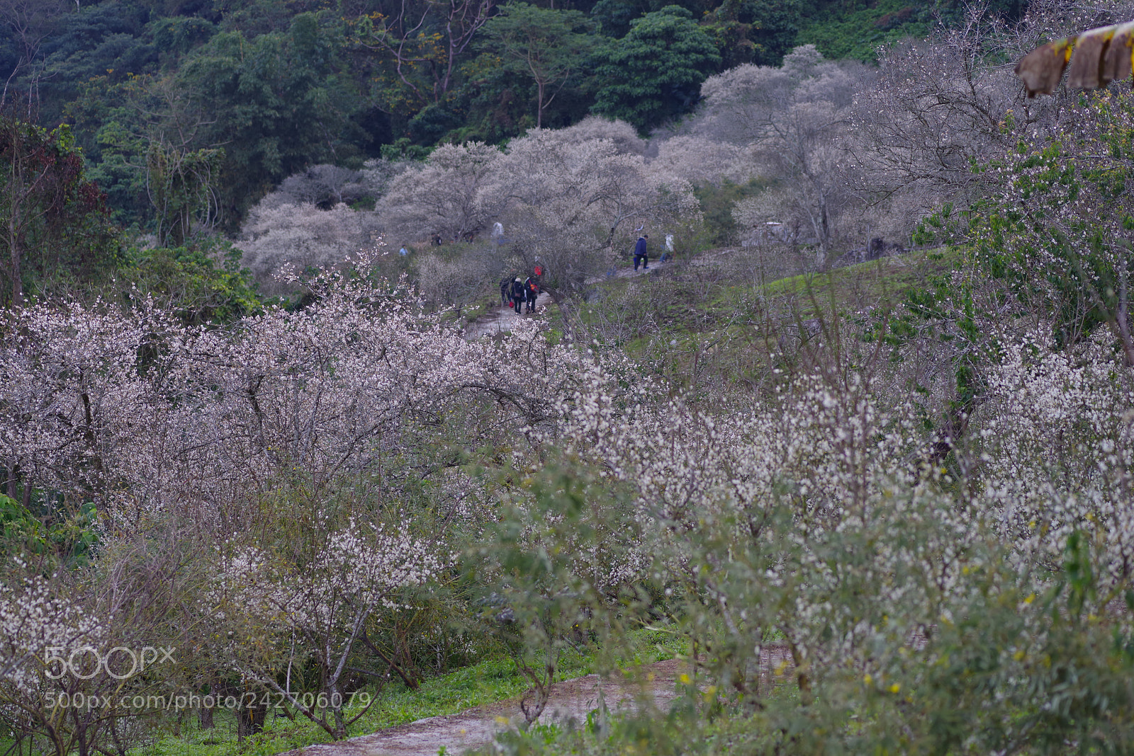 Pentax K-1 sample photo. The view from my photography