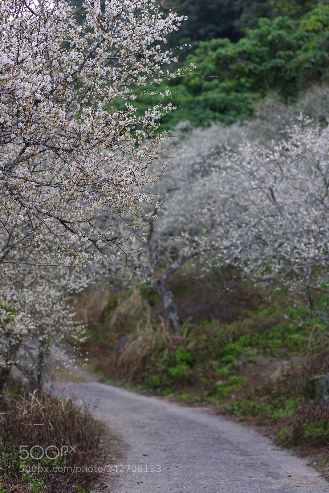 Pentax K-1 sample photo. The view from my photography