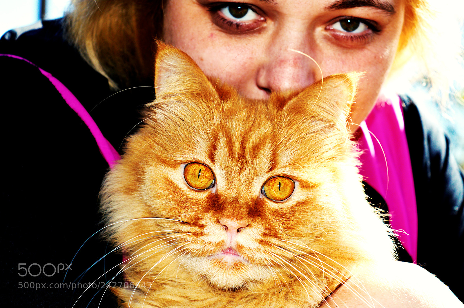 Nikon D3200 sample photo. Garfield & doris photography
