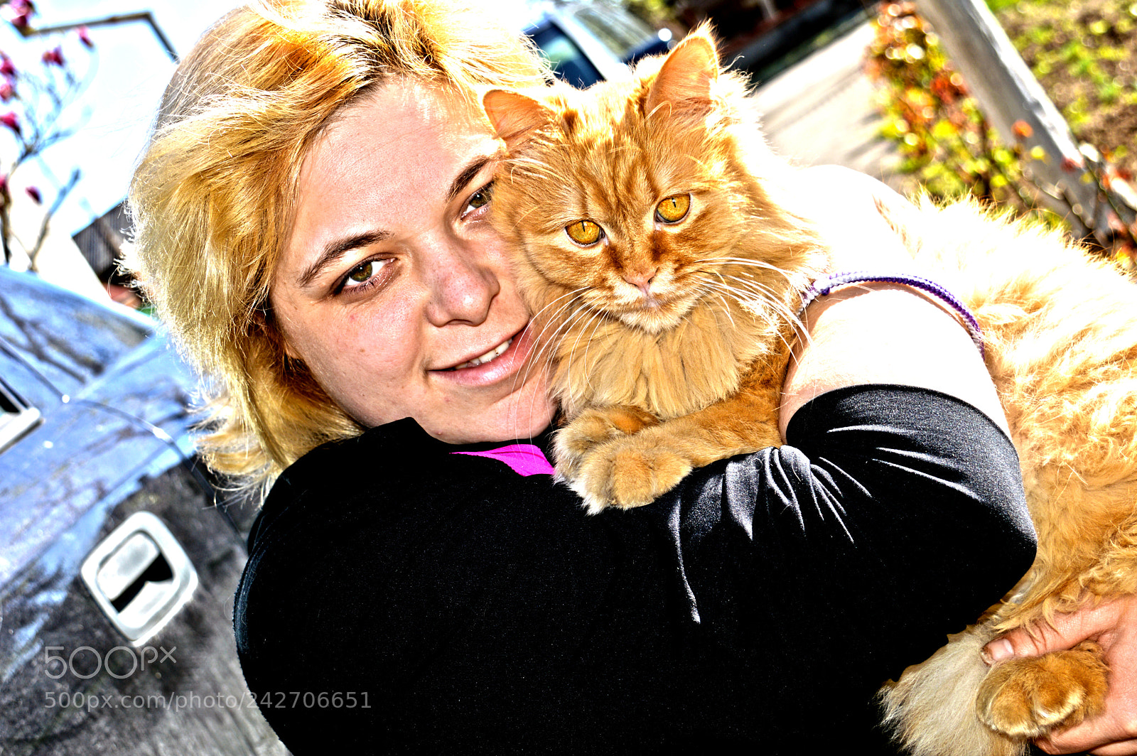 Nikon D3200 sample photo. Who doesn't love kitty photography