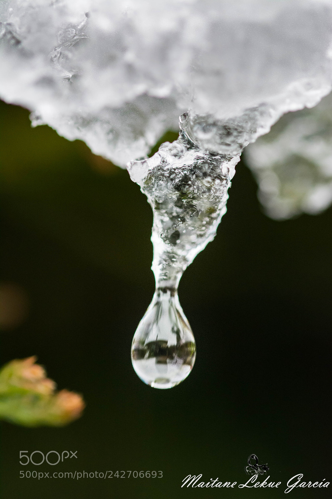 Nikon D7100 sample photo. Gotas photography