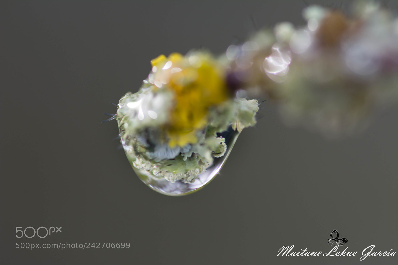 Nikon D7100 sample photo. Gotas photography