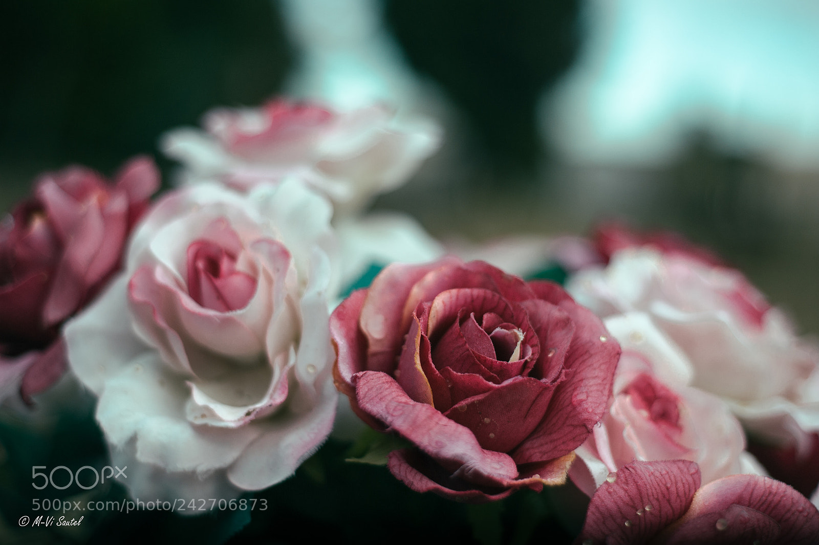 Nikon D700 sample photo. Https www.youtube.com watch v photography