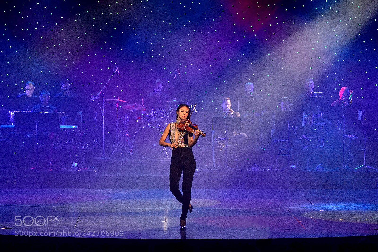 Nikon D610 sample photo. The violin photography