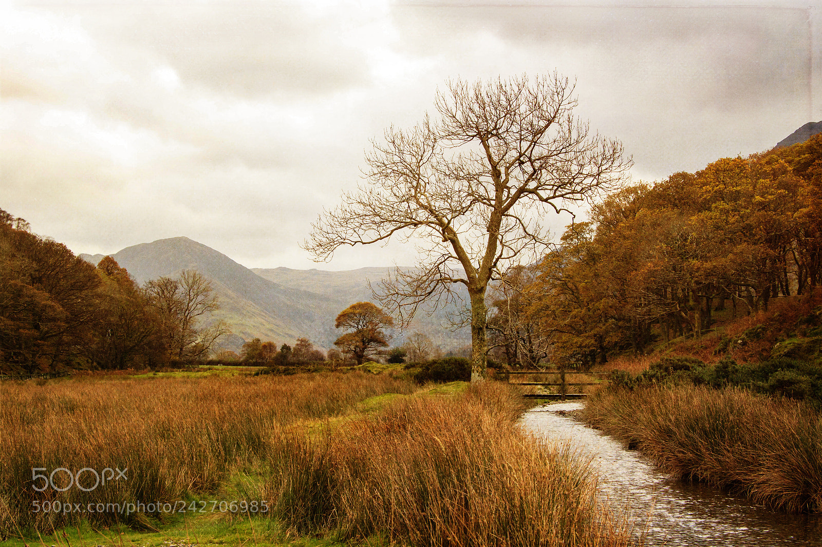 Canon EOS 500D (EOS Rebel T1i / EOS Kiss X3) sample photo. Cumbria photography