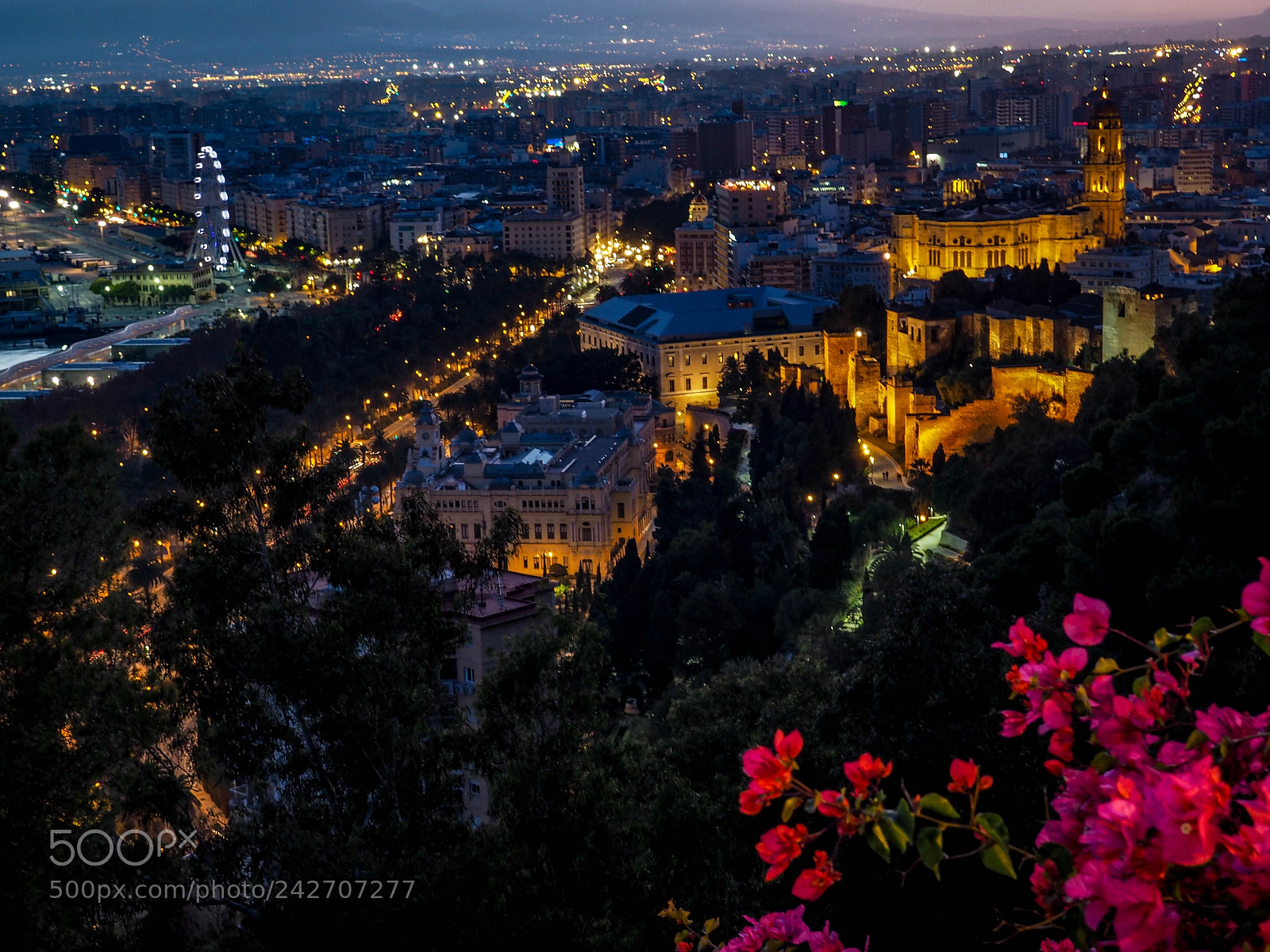 Olympus OM-D E-M10 sample photo. Malaga at dusk photography