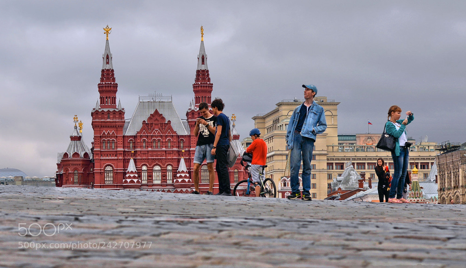 Nikon D610 sample photo. Ant view photography