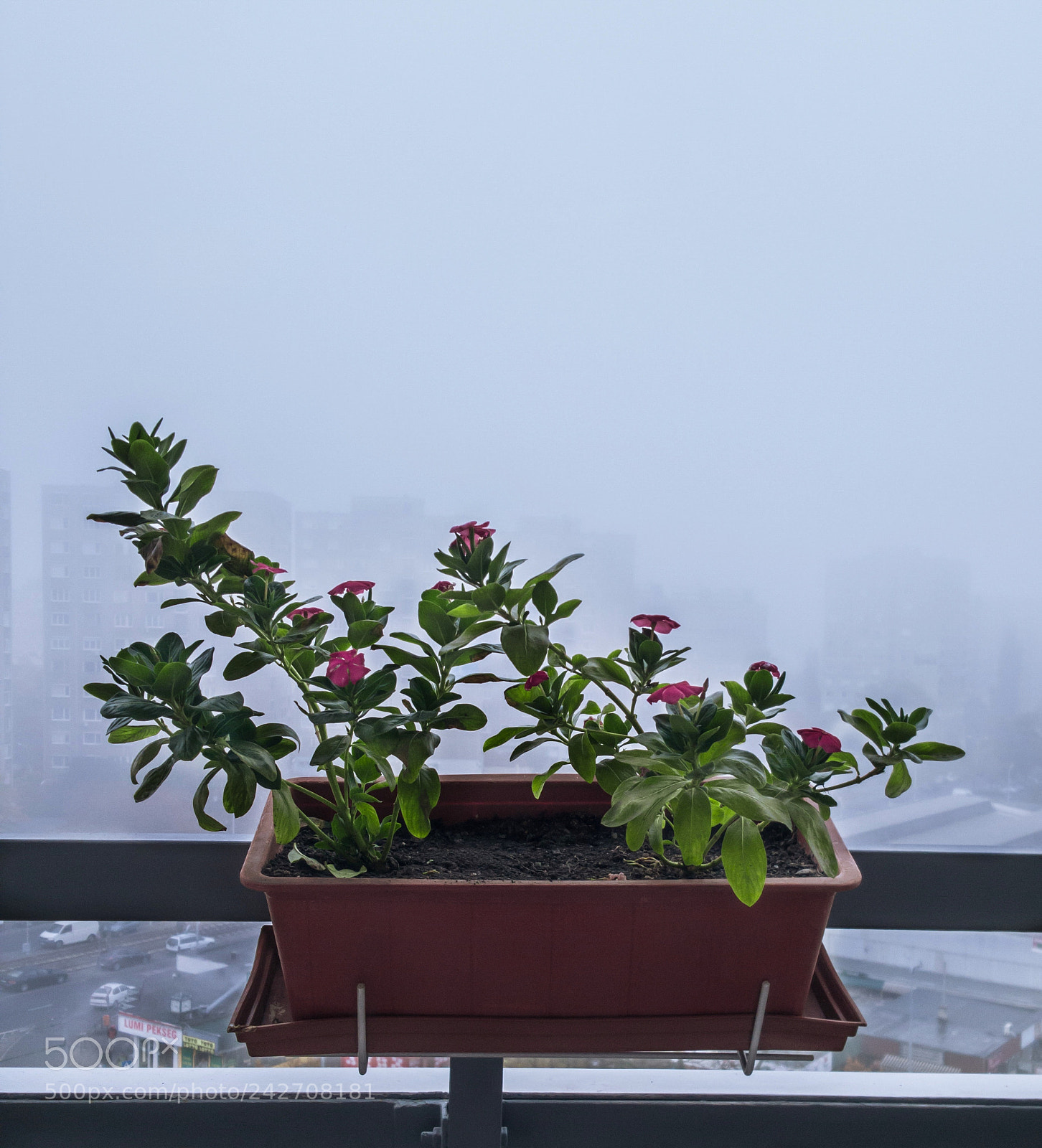 Samsung GALAXY S6 edge sample photo. The fog photography