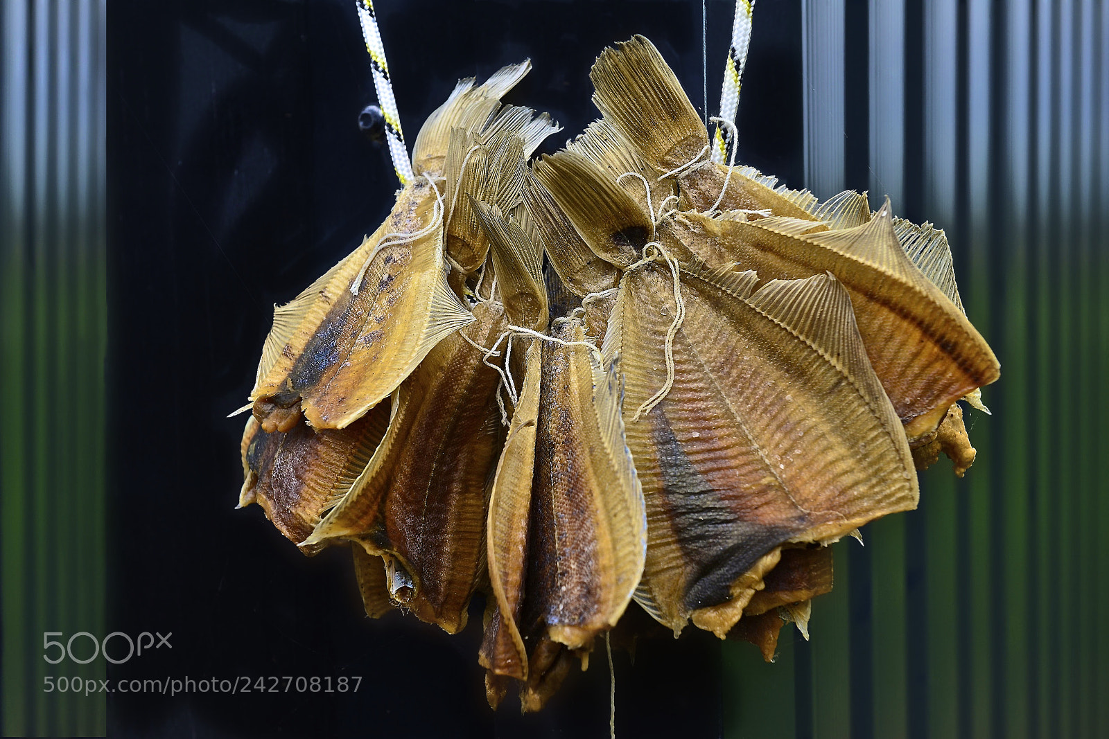 Nikon D800 sample photo. Dried fish photography