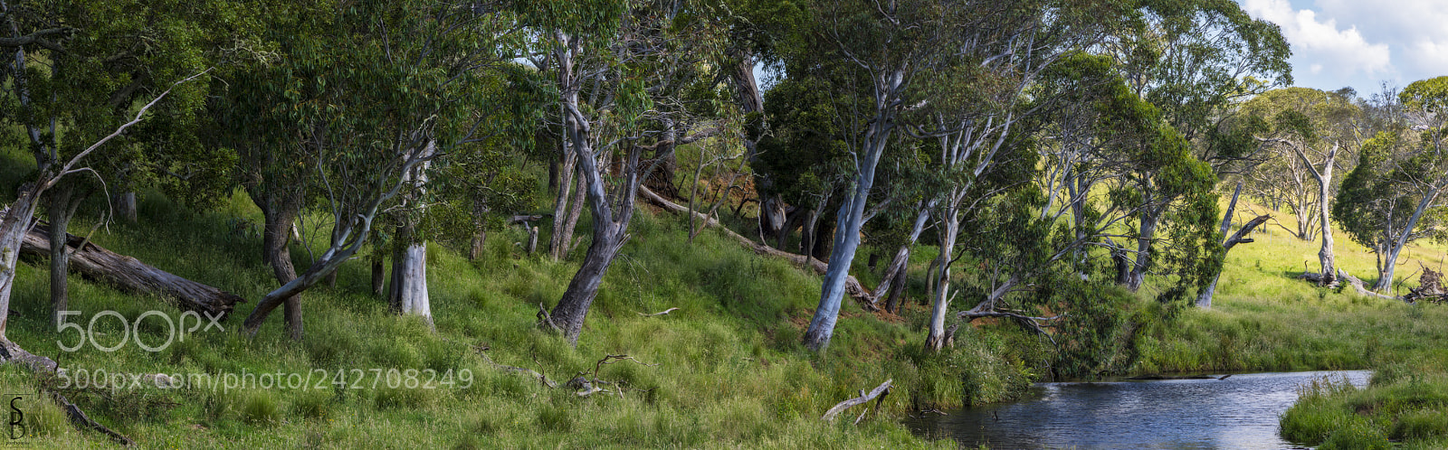 Nikon D7200 sample photo. By the waterhole photography