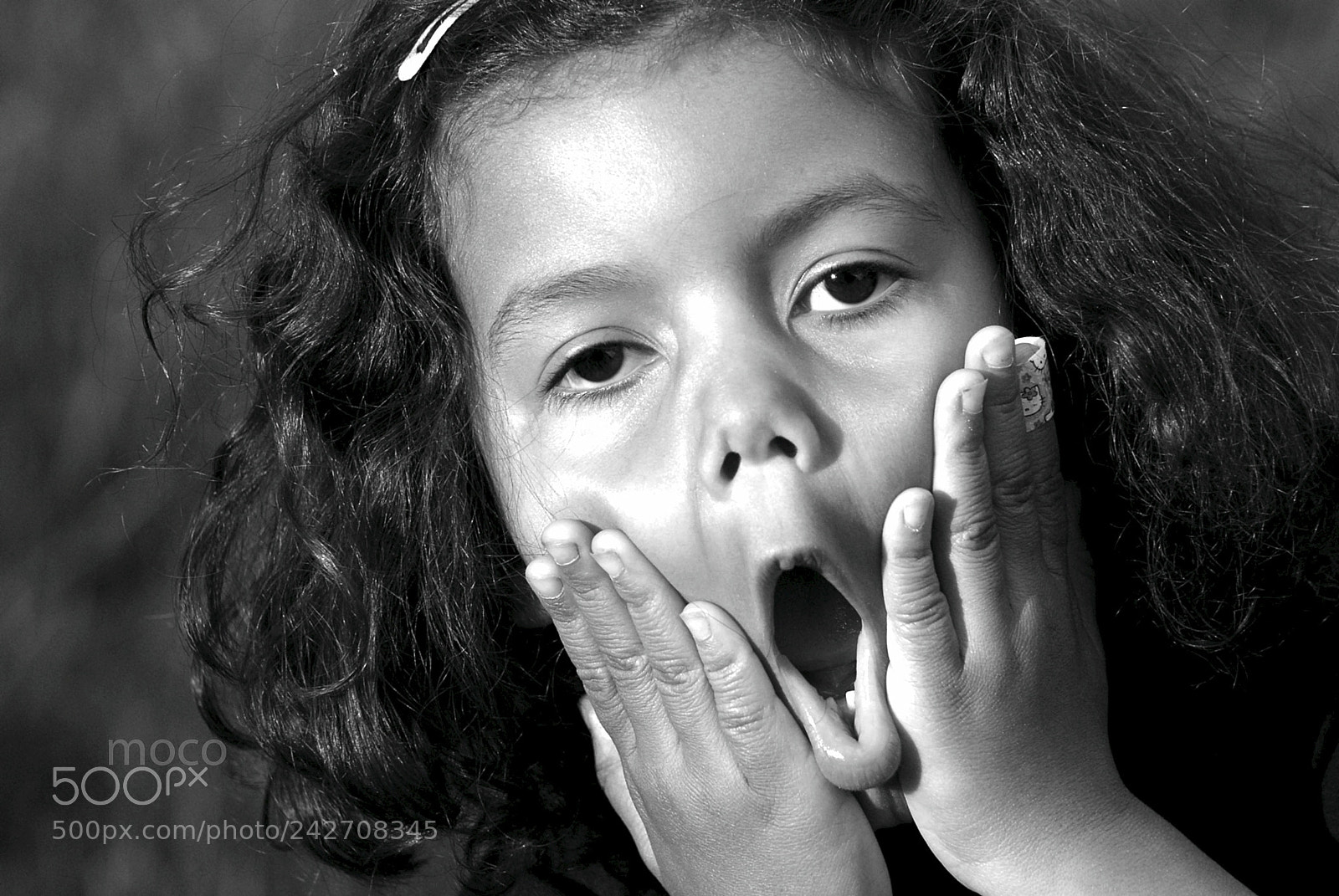 Nikon D80 sample photo. Omg photography