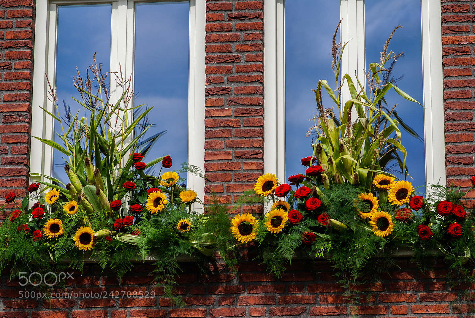 Nikon D80 sample photo. Blumenfenster photography