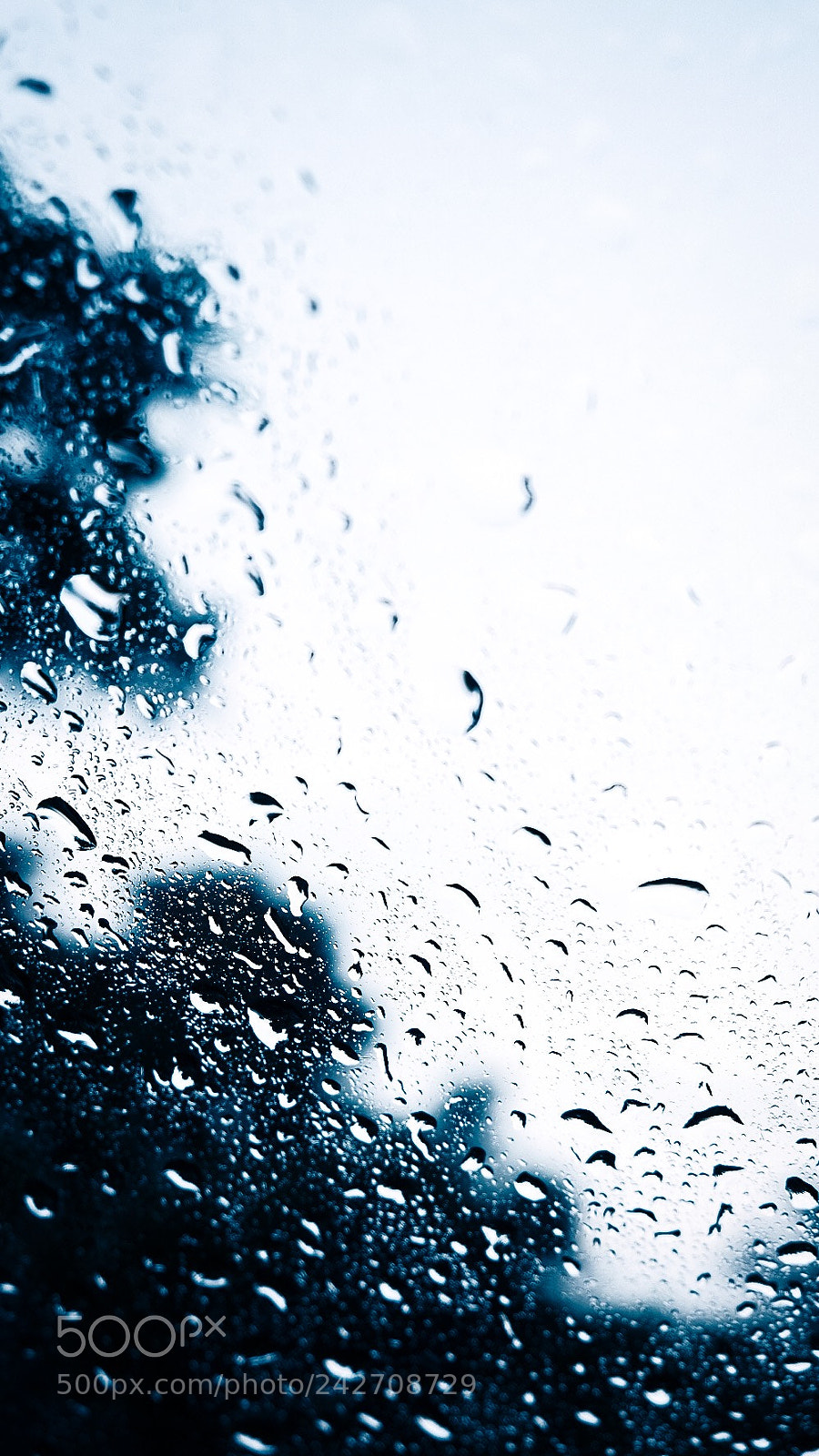 Fujifilm X-T2 sample photo. After rain on the photography