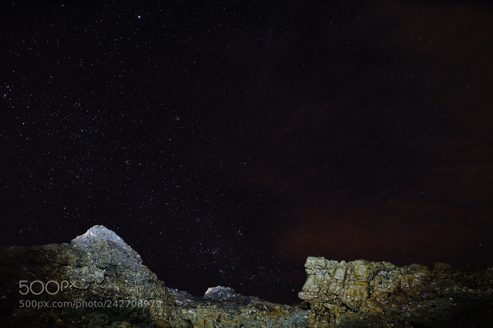 Nikon D7500 sample photo. Twinkle twinkle little stars photography