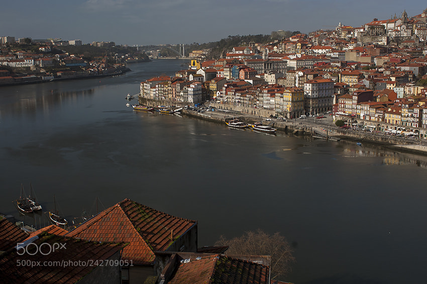 Nikon D70s sample photo. Porto photography