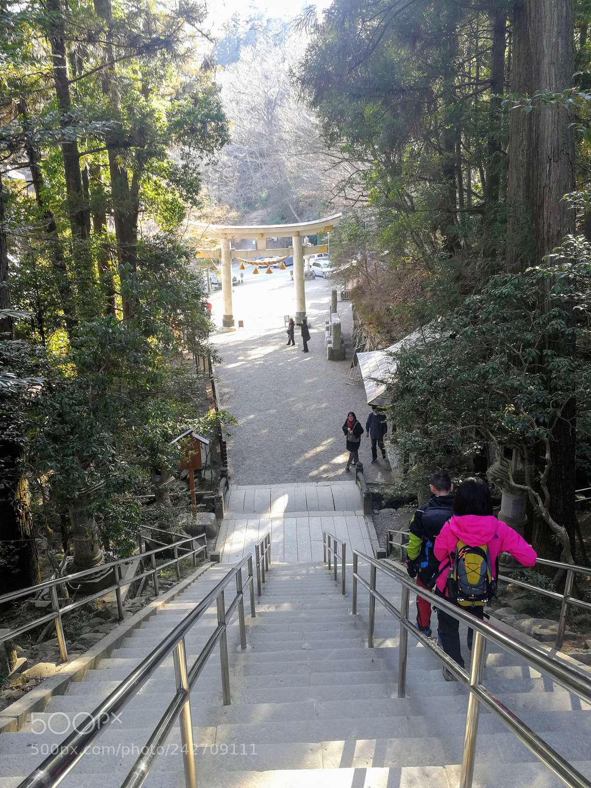 HUAWEI Mate 9 sample photo. 宝登山神社 photography
