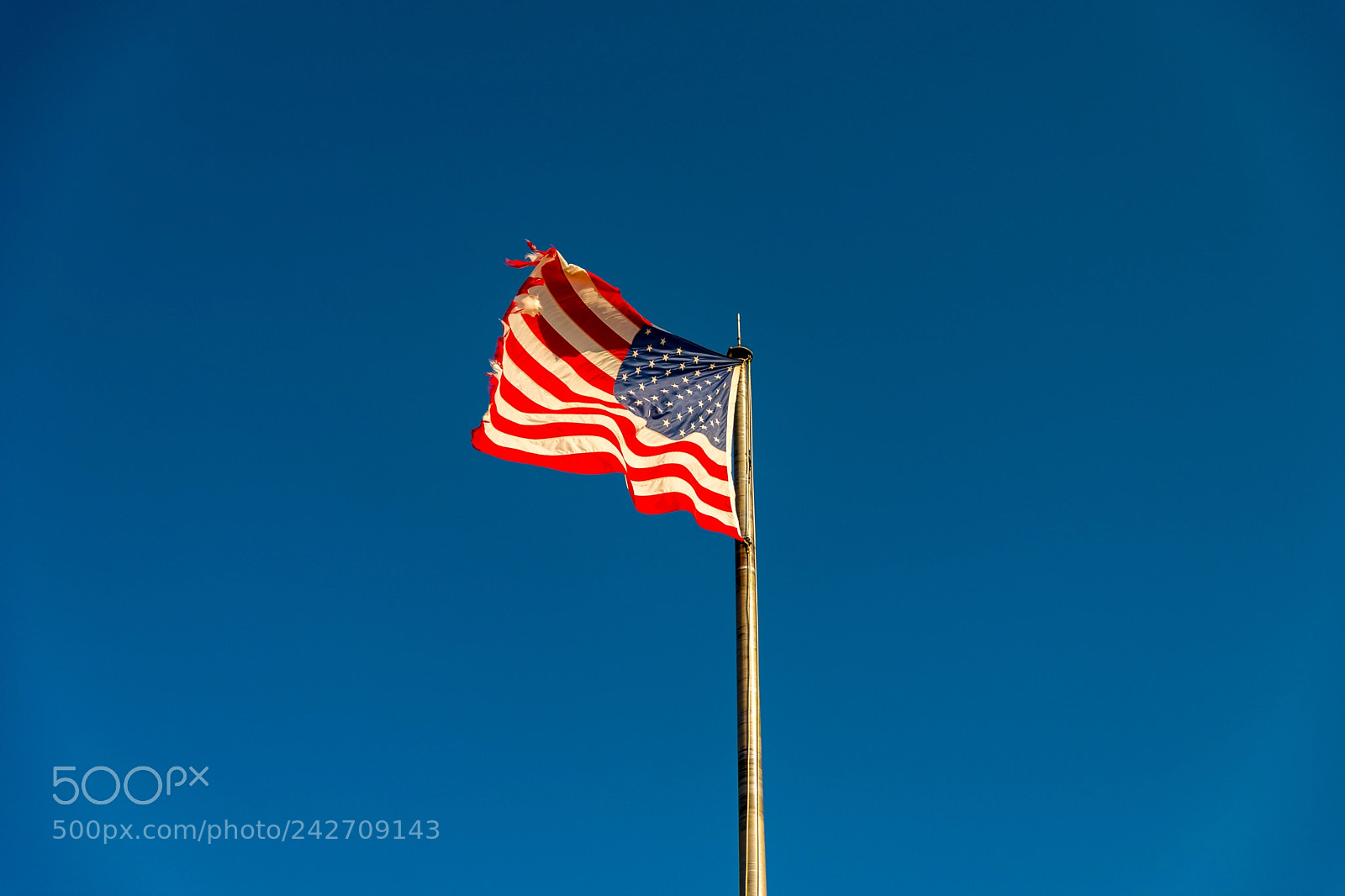 Nikon D7200 sample photo. American flag photography