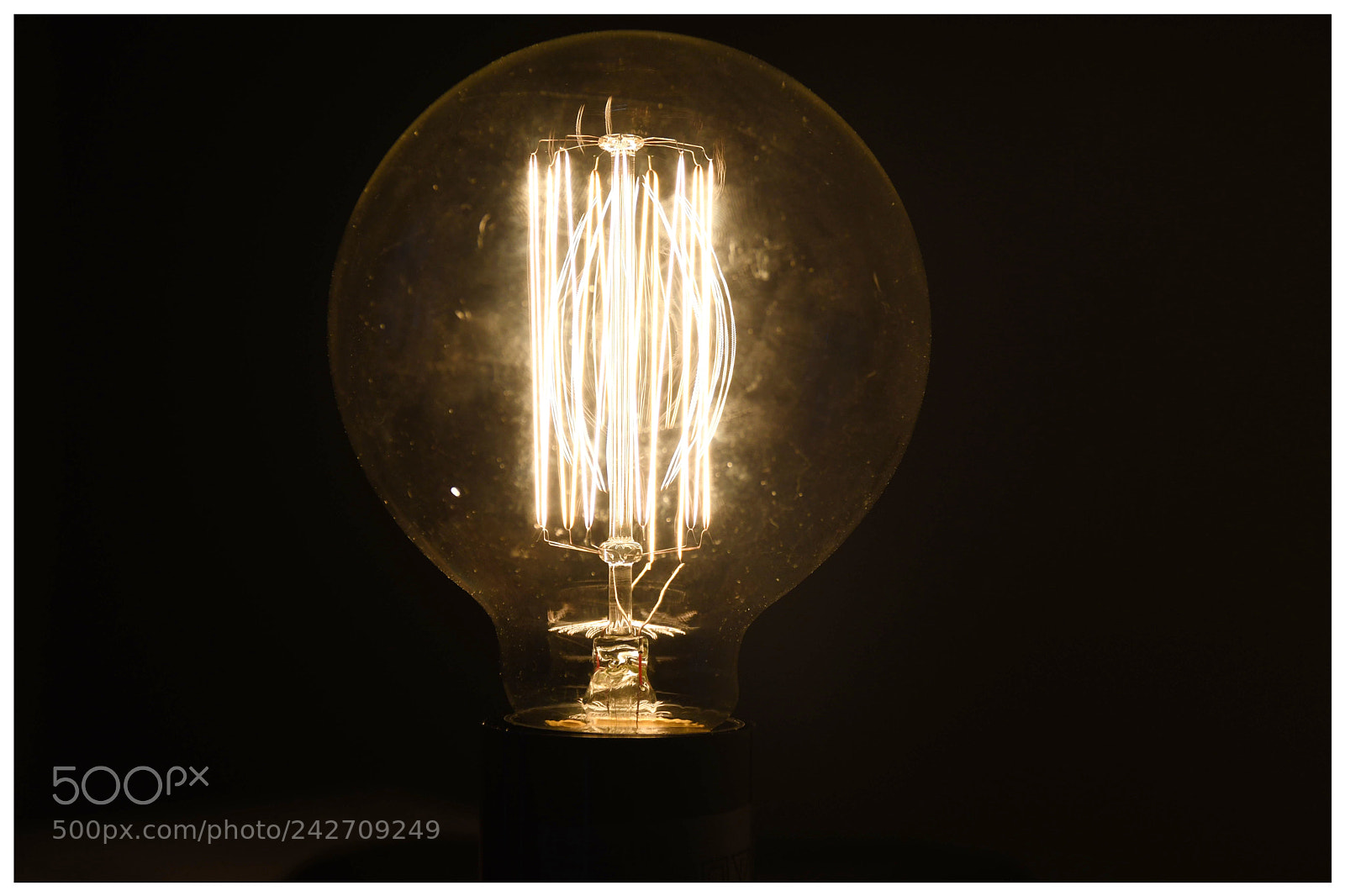 Nikon D7500 sample photo. Light bulb moment photography