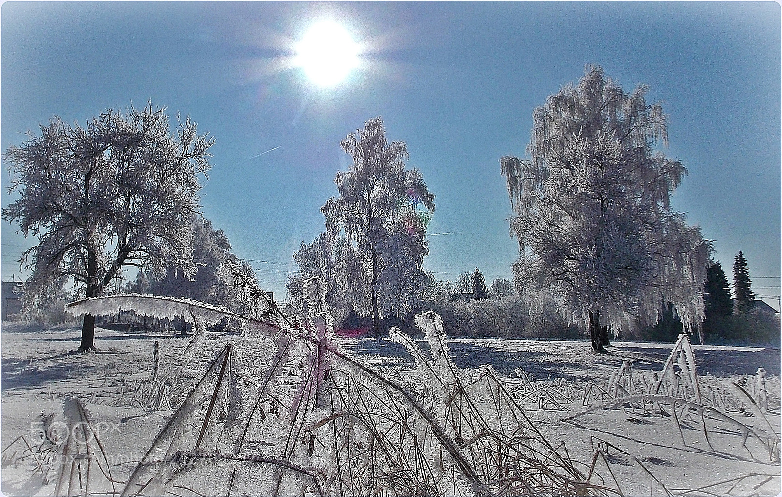 Nikon Coolpix L810 sample photo. Towards the sun photography