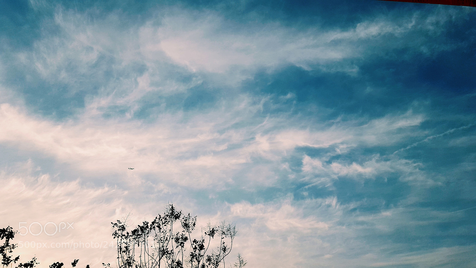Samsung Galaxy S6 sample photo. Untitled photography