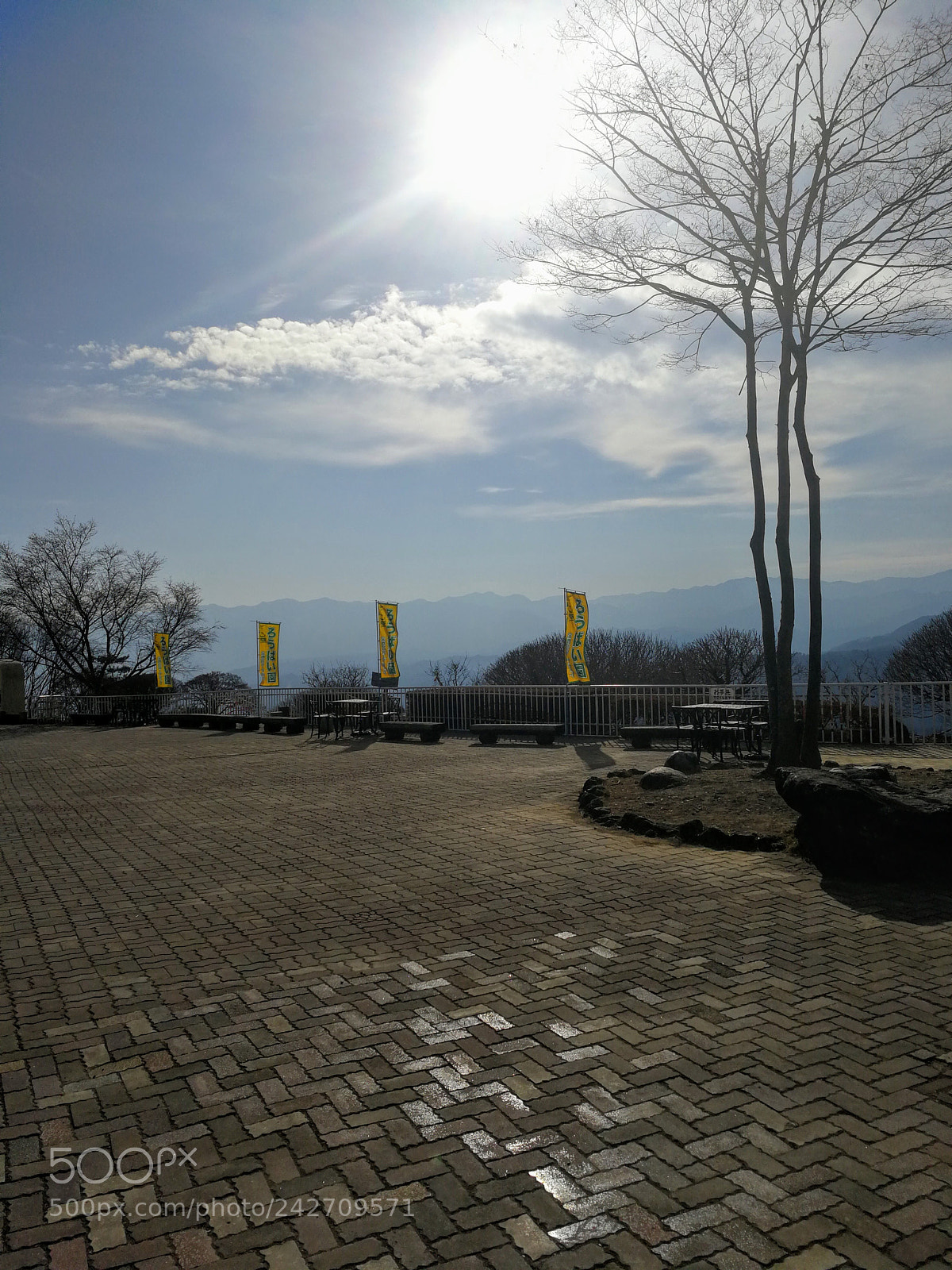 HUAWEI Mate 9 sample photo. 宝登山 photography