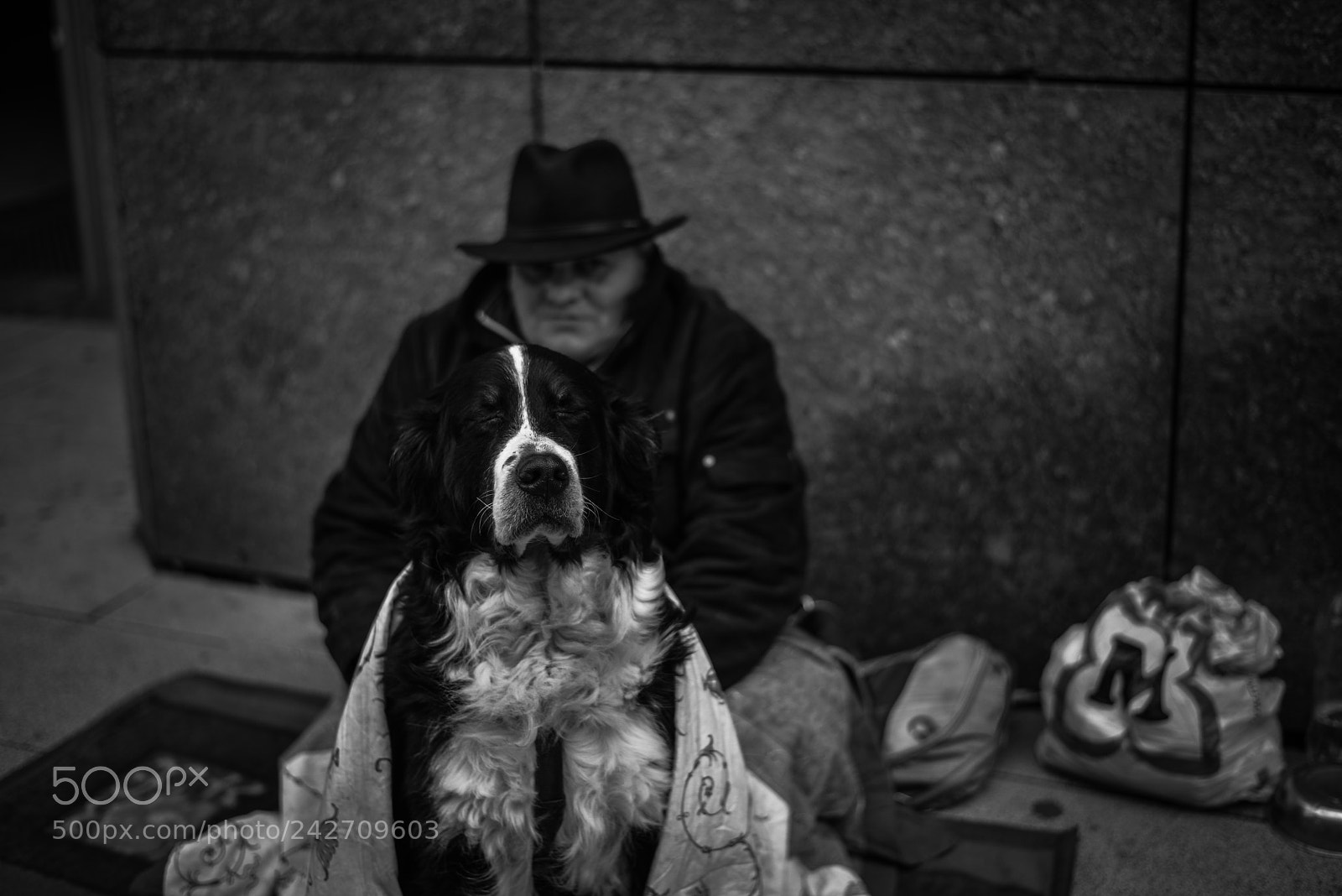 Nikon D800 sample photo. Loyalty photography