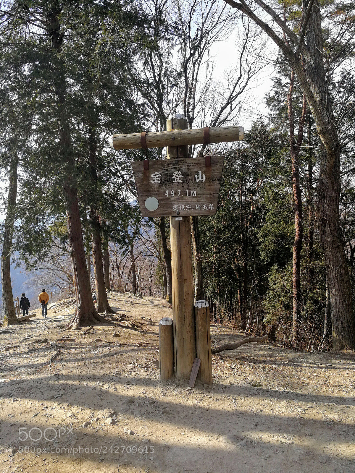 HUAWEI Mate 9 sample photo. 宝登山 photography