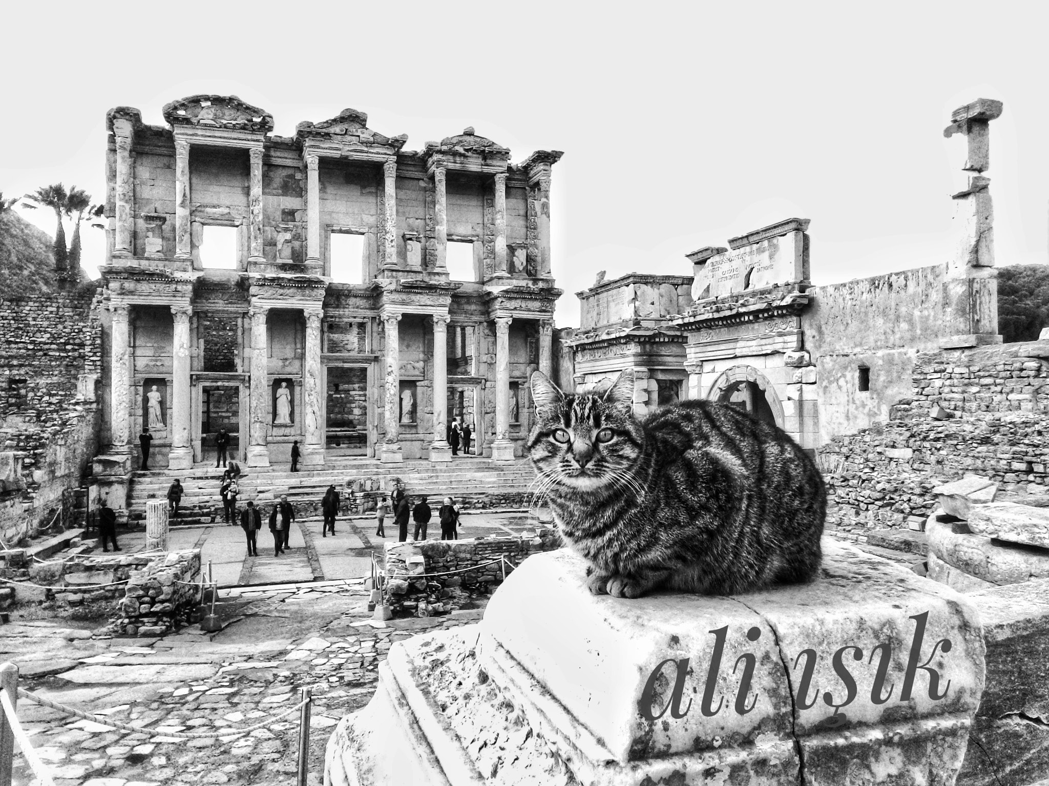 ASUS T00J sample photo. Ephesus photography