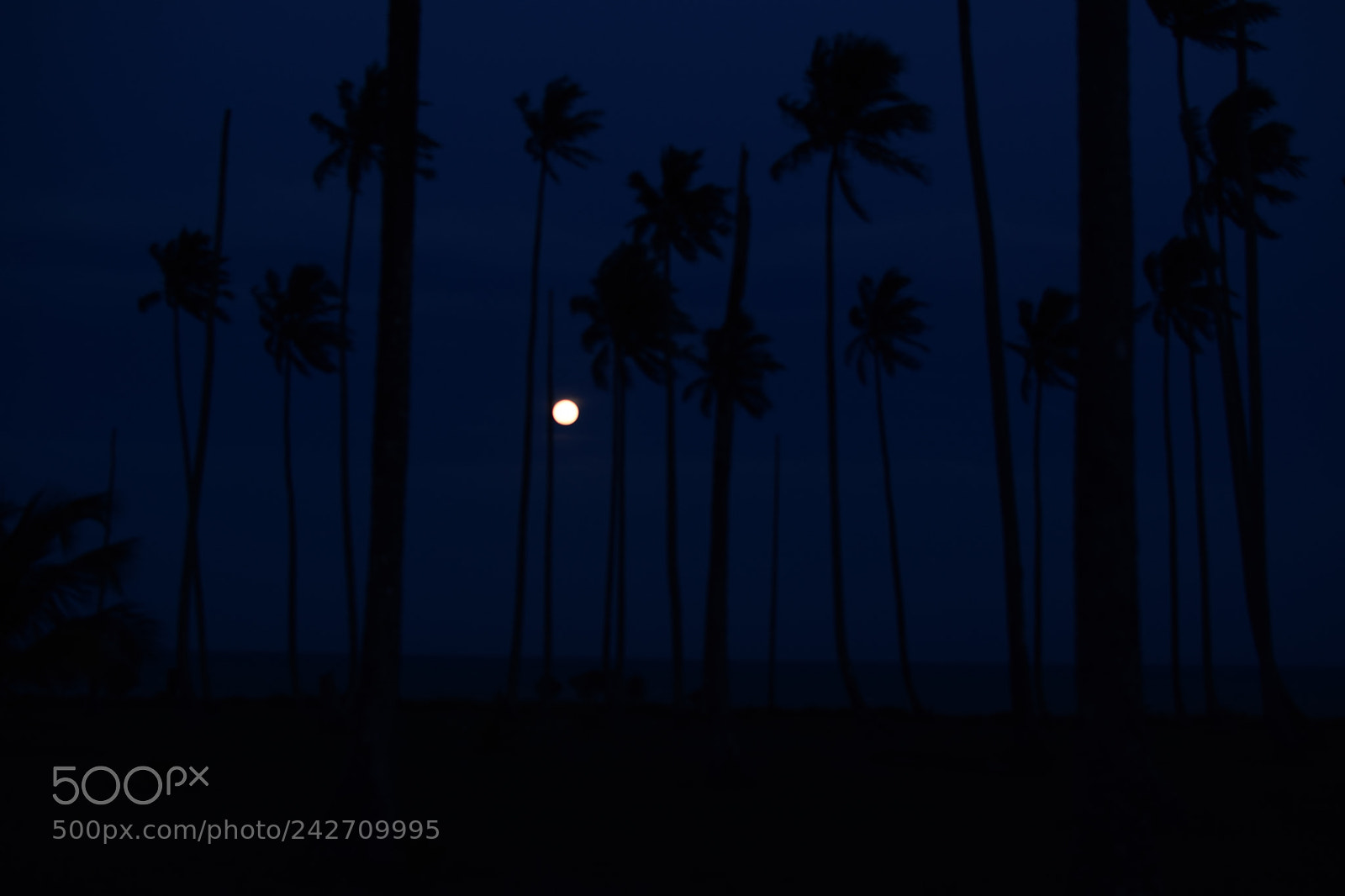 Nikon D5300 + Nikon AF-S DX Nikkor 35mm F1.8G sample photo. Moonrise photography