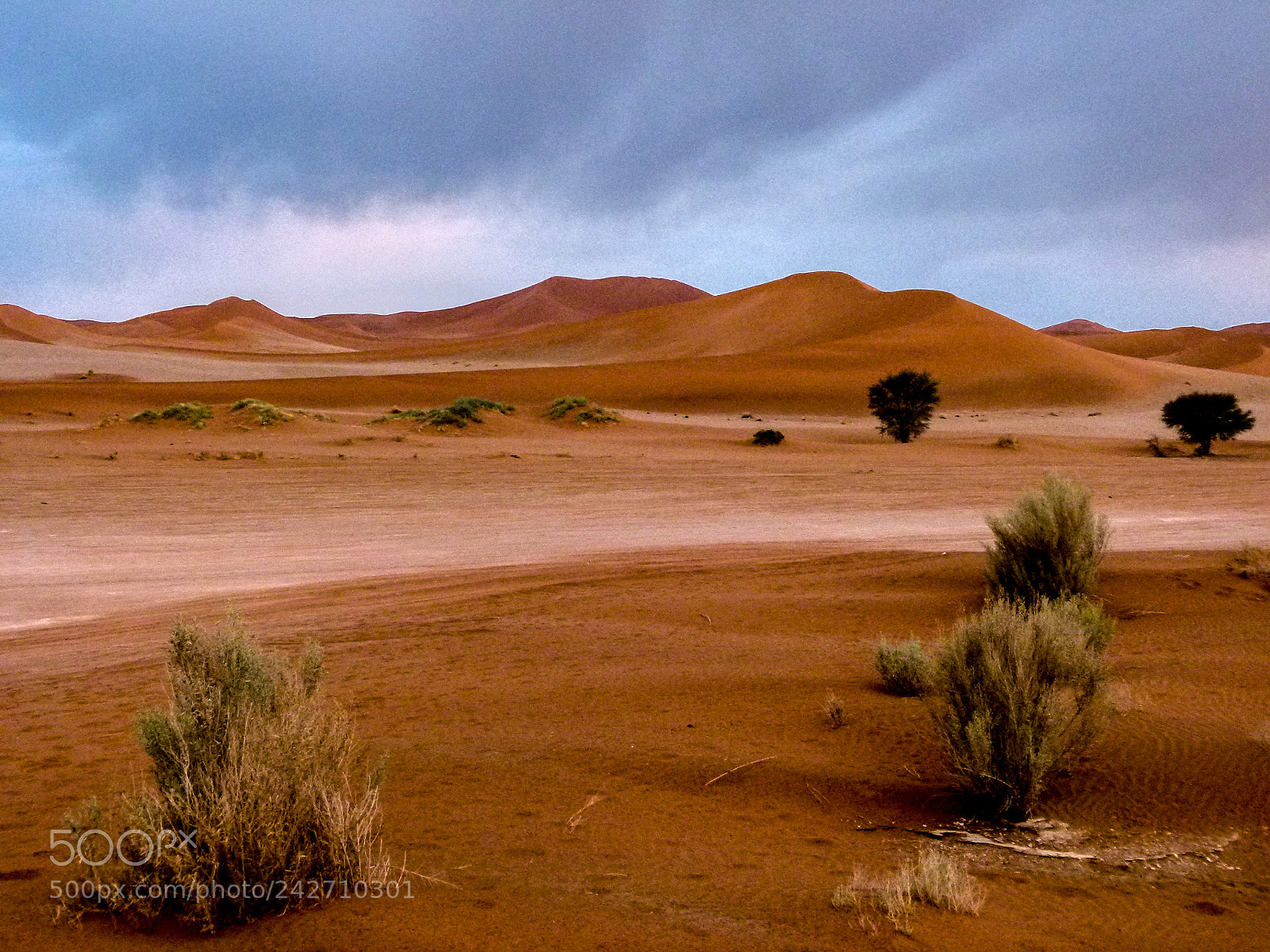 Panasonic Lumix DMC-FZ100 sample photo. Namib desert photography