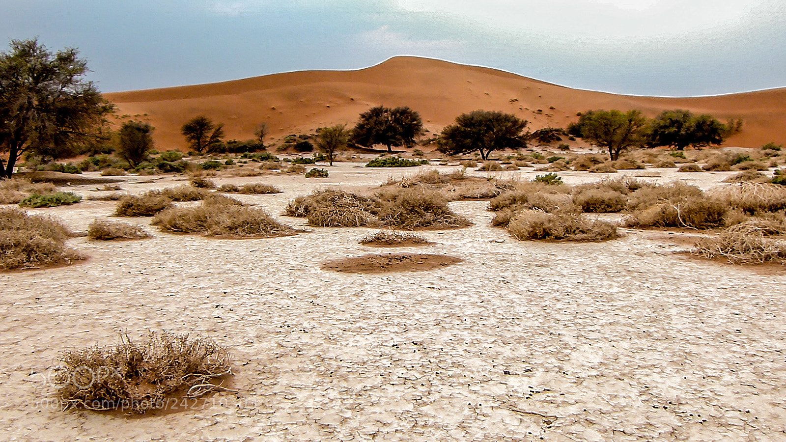 Panasonic Lumix DMC-FZ100 sample photo. Namib desert photography